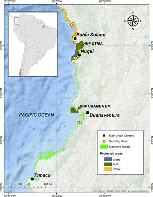 Toward Ecosystem-Based Assessment and Management of Small-Scale and Multi-Gear Fisheries: Insights From the Tropical Eastern Pacific